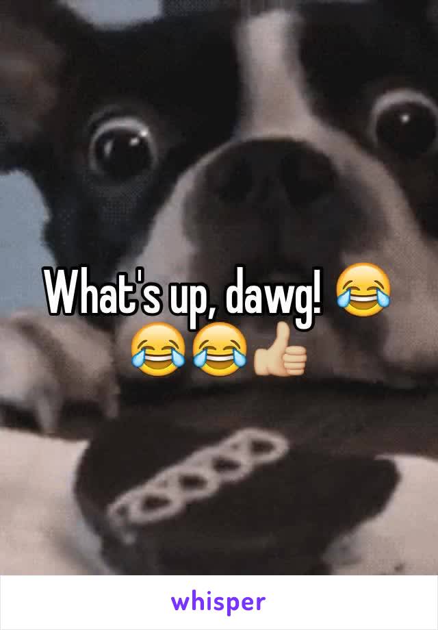 What's up, dawg! 😂😂😂👍🏼