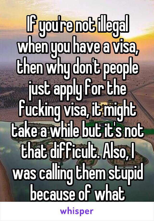 If you're not illegal when you have a visa, then why don't people just apply for the fucking visa, it might take a while but it's not that difficult. Also, I was calling them stupid because of what