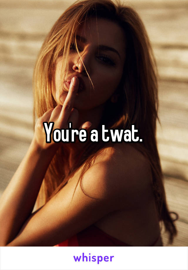 You're a twat. 