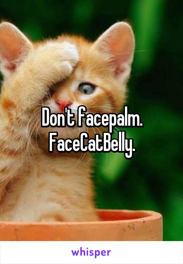 Don't facepalm. FaceCatBelly.