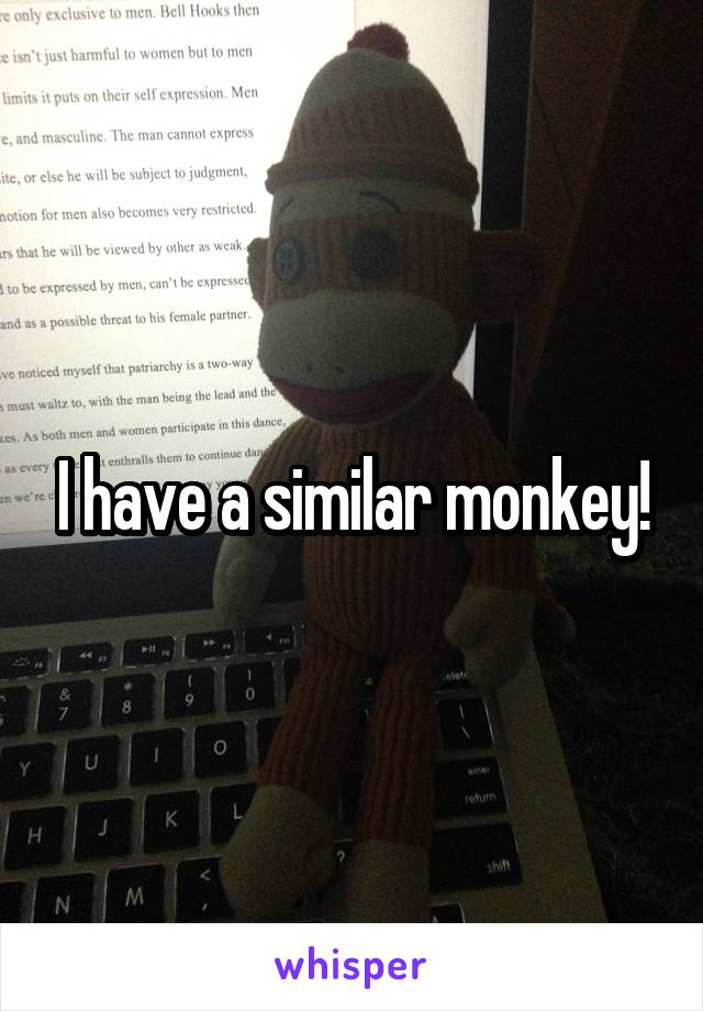 I have a similar monkey!
