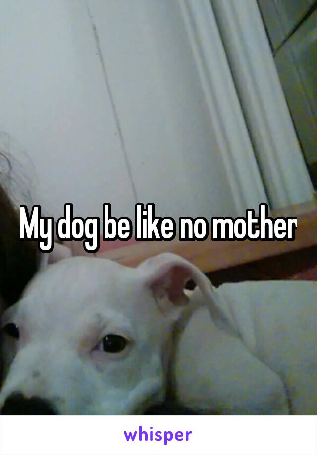 My dog be like no mother