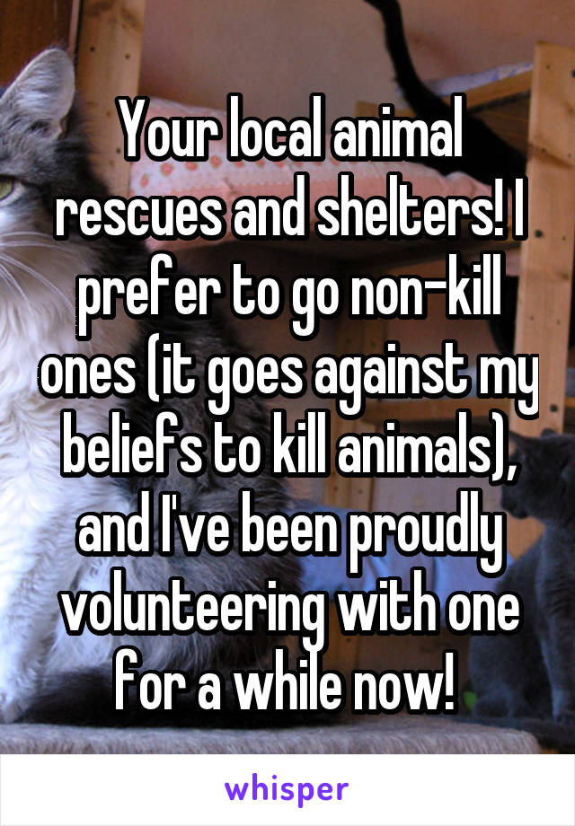 Your local animal rescues and shelters! I prefer to go non-kill ones (it goes against my beliefs to kill animals), and I've been proudly volunteering with one for a while now! 