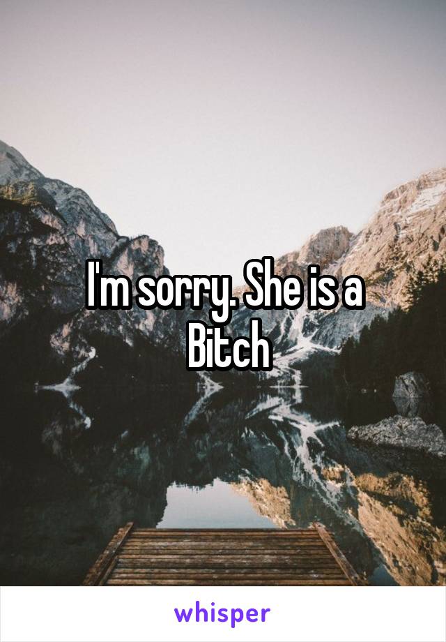 I'm sorry. She is a
 Bitch