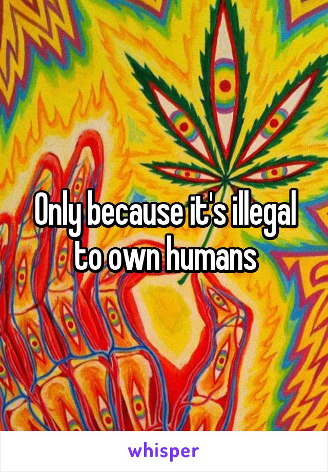 Only because it's illegal to own humans