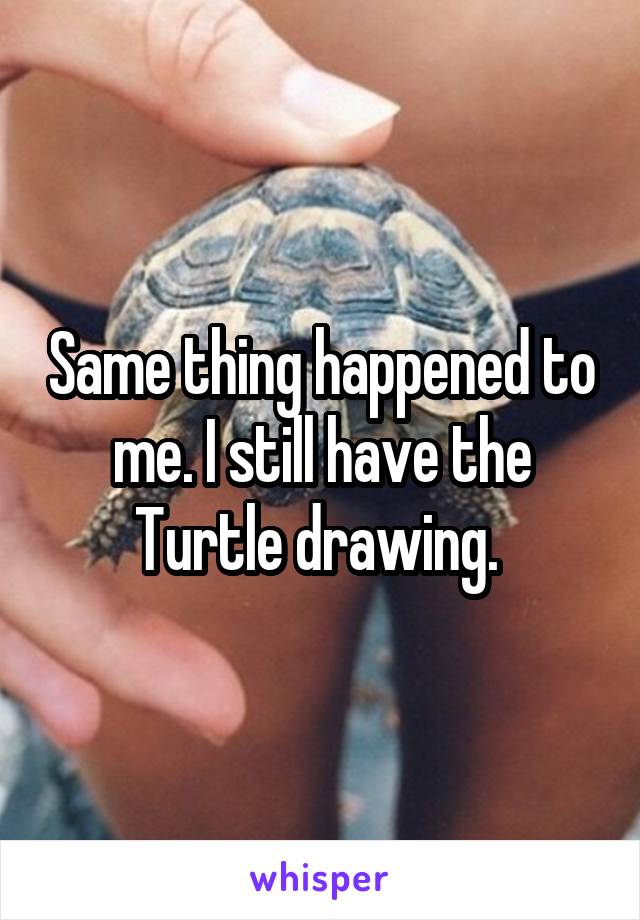 Same thing happened to me. I still have the Turtle drawing. 