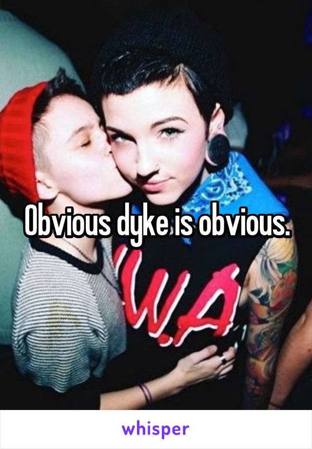 Obvious dyke is obvious.