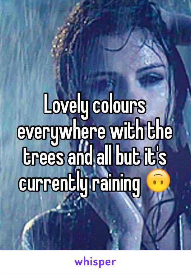 Lovely colours everywhere with the trees and all but it's currently raining 🙃