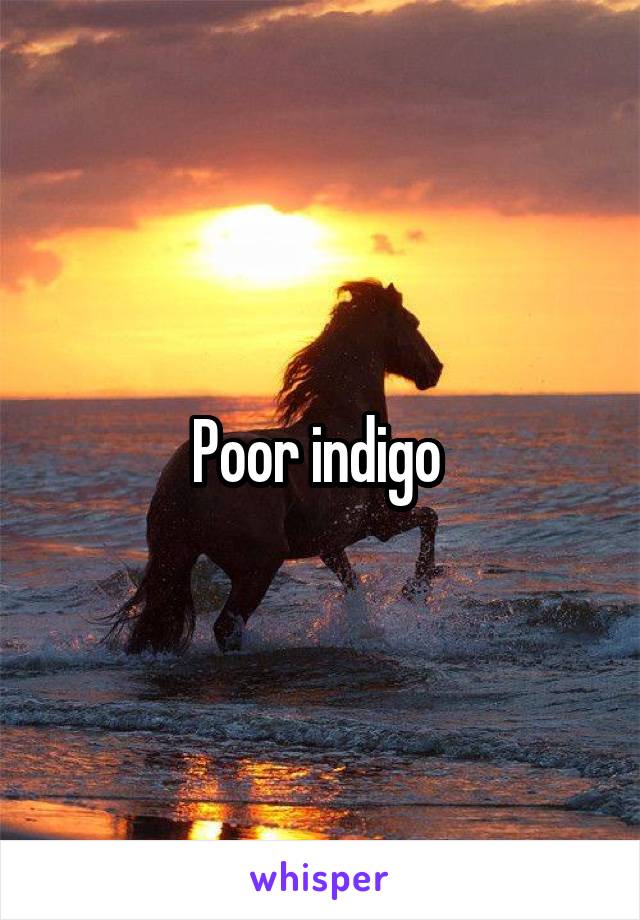 Poor indigo 