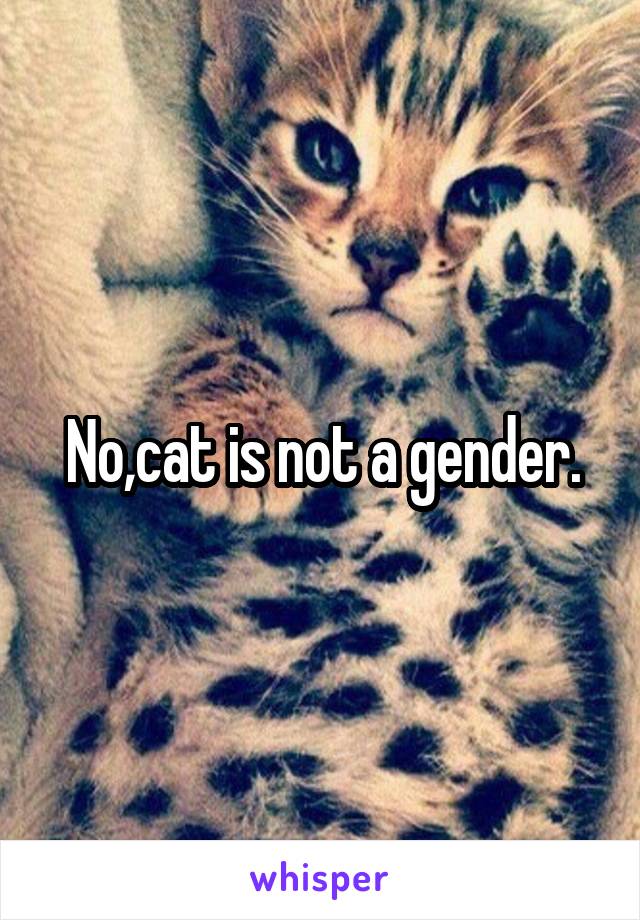 No,cat is not a gender.