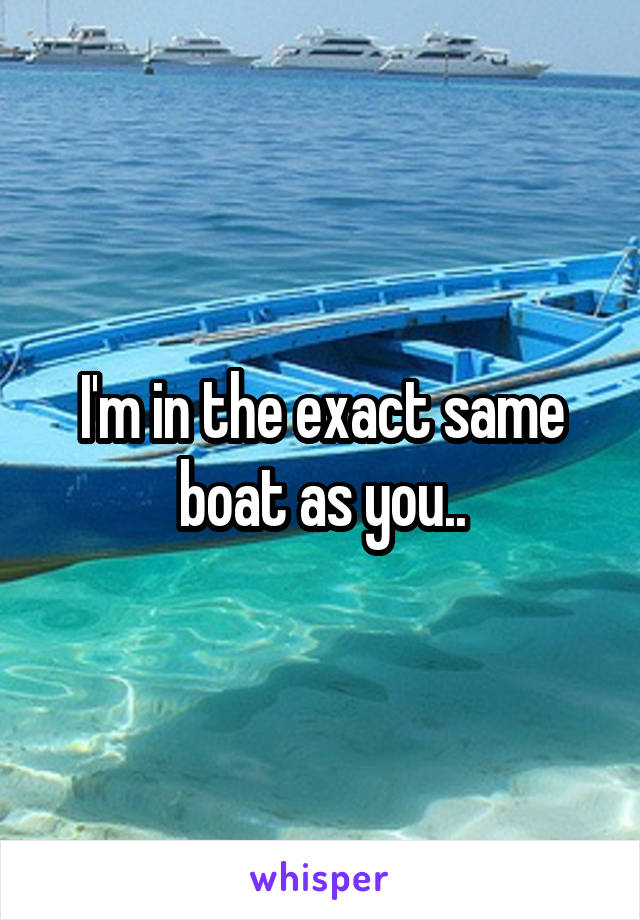 I'm in the exact same boat as you..