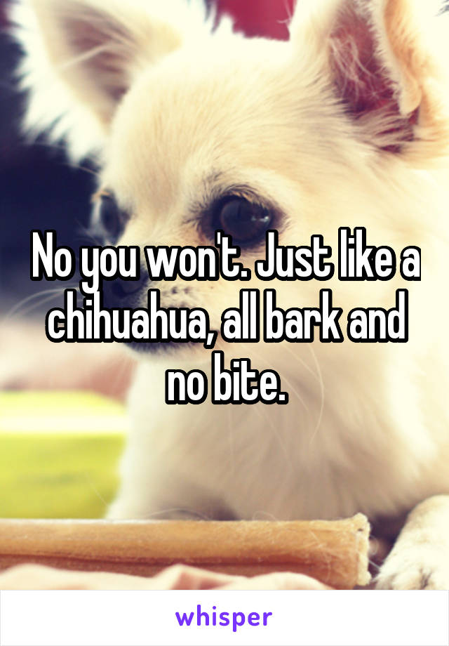 No you won't. Just like a chihuahua, all bark and no bite.