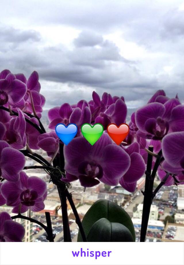 💙💚❤️