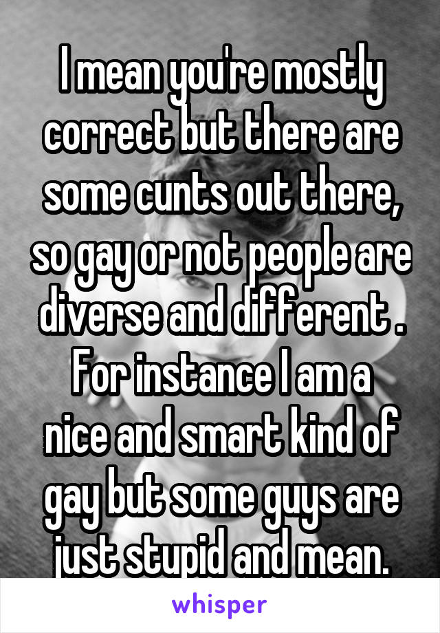 I mean you're mostly correct but there are some cunts out there, so gay or not people are diverse and different .
For instance I am a nice and smart kind of gay but some guys are just stupid and mean.