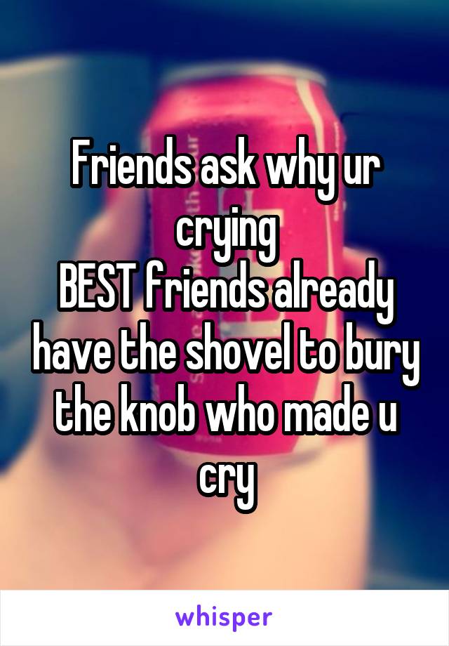 Friends ask why ur crying
BEST friends already have the shovel to bury the knob who made u cry