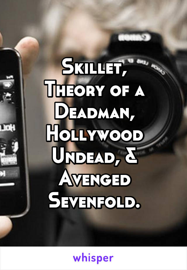 Skillet,
Theory of a Deadman,
Hollywood Undead, &
Avenged Sevenfold.