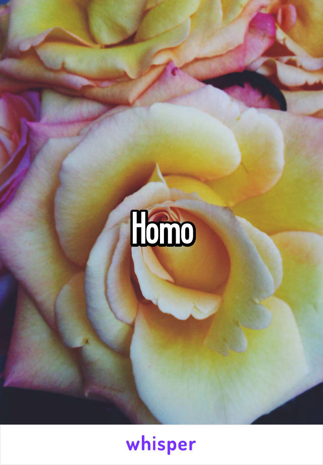 Homo