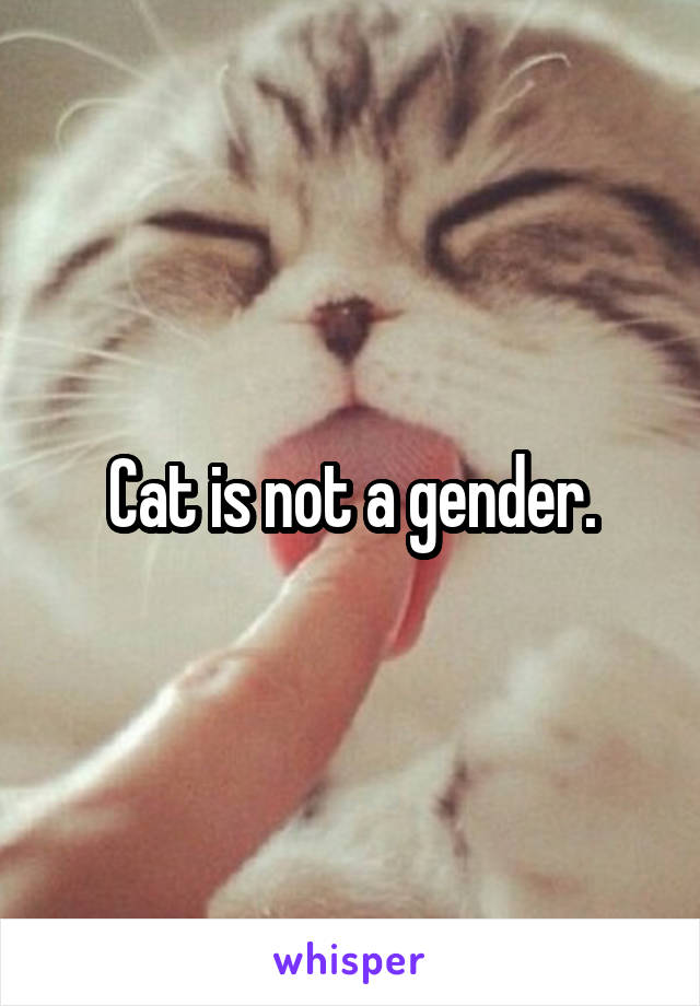 Cat is not a gender.