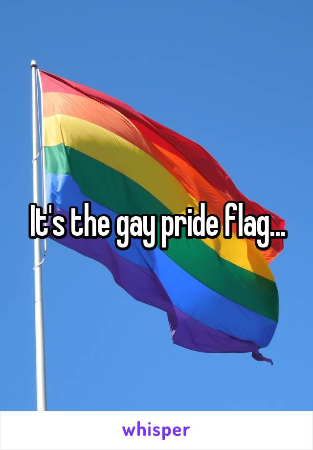 It's the gay pride flag...