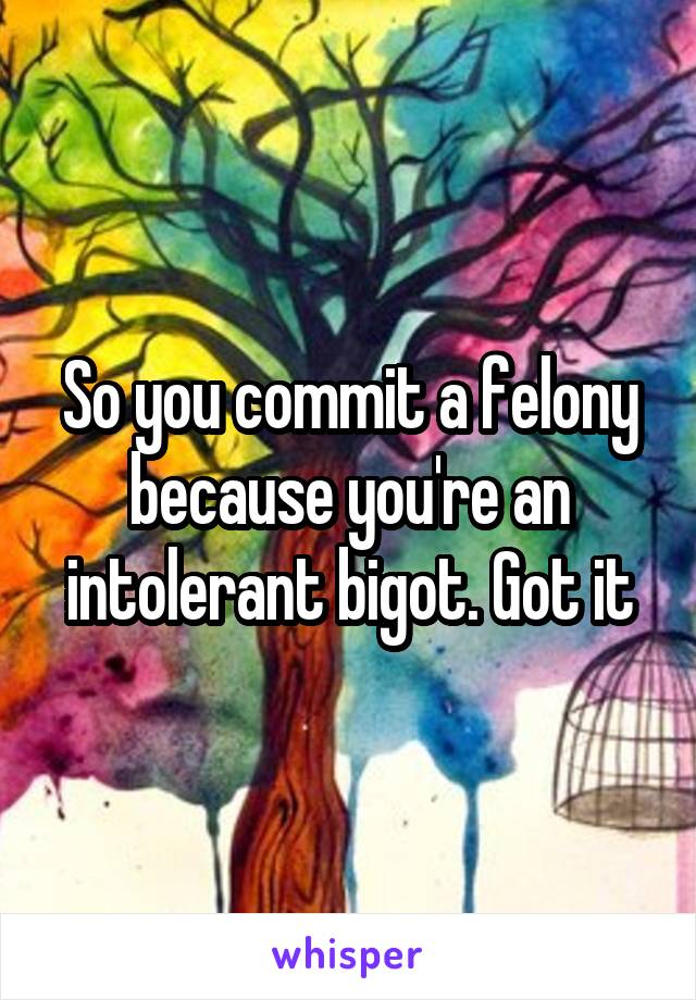 So you commit a felony because you're an intolerant bigot. Got it