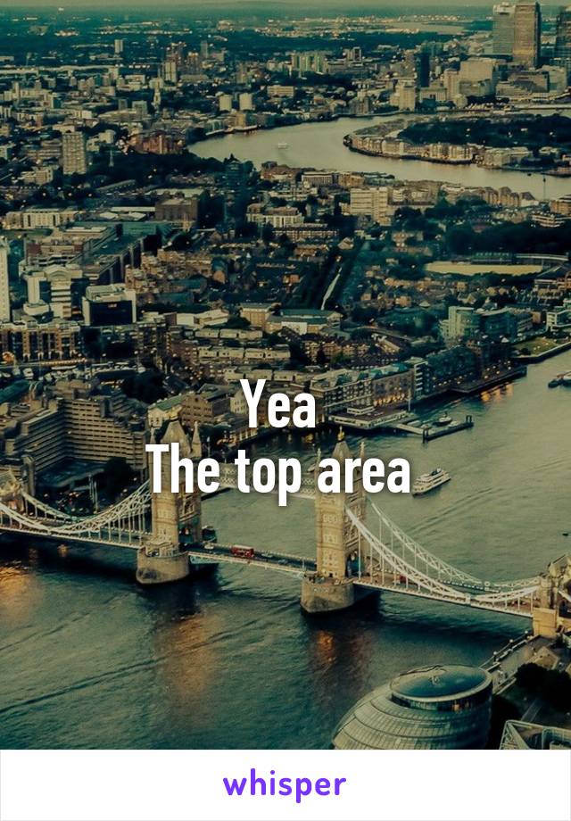 
Yea 
The top area 