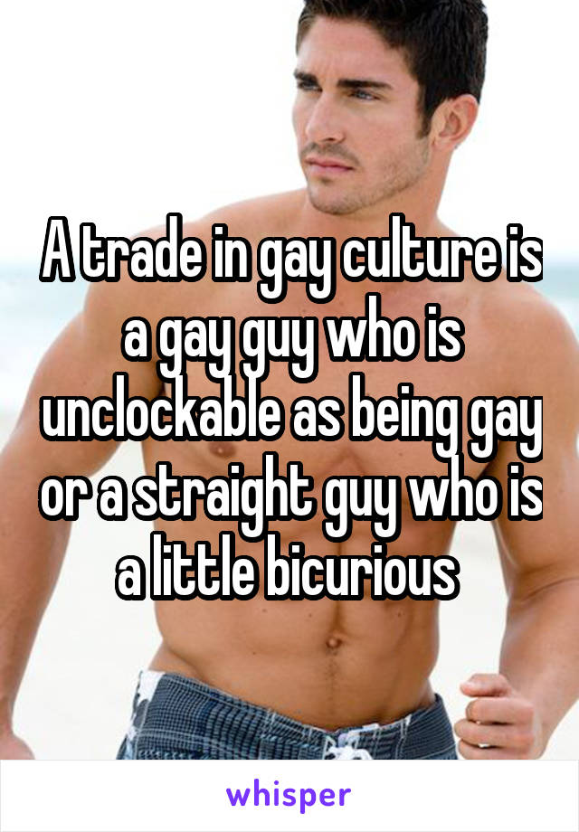 A trade in gay culture is a gay guy who is unclockable as being gay or a straight guy who is a little bicurious 