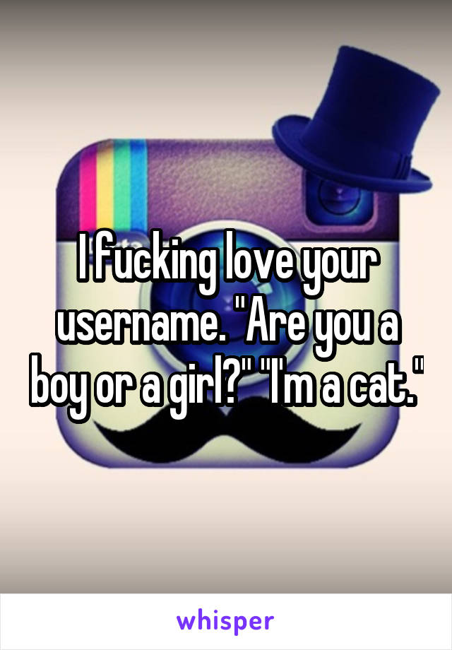 I fucking love your username. "Are you a boy or a girl?" "I'm a cat."