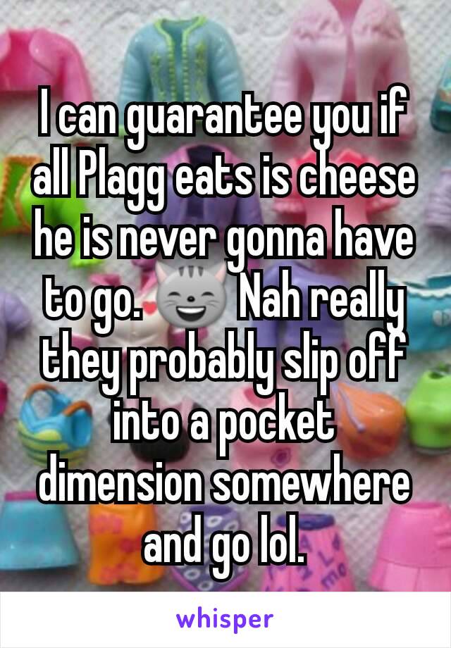 I can guarantee you if all Plagg eats is cheese he is never gonna have to go. 😸 Nah really they probably slip off into a pocket dimension somewhere and go lol.