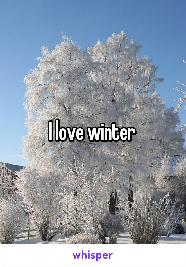 I love winter 