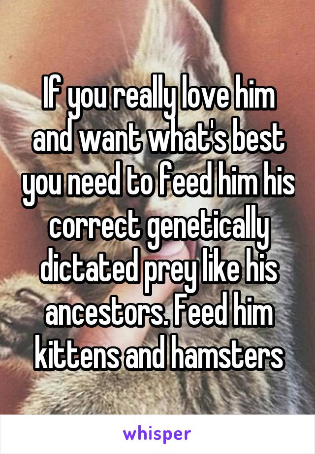 If you really love him and want what's best you need to feed him his correct genetically dictated prey like his ancestors. Feed him kittens and hamsters