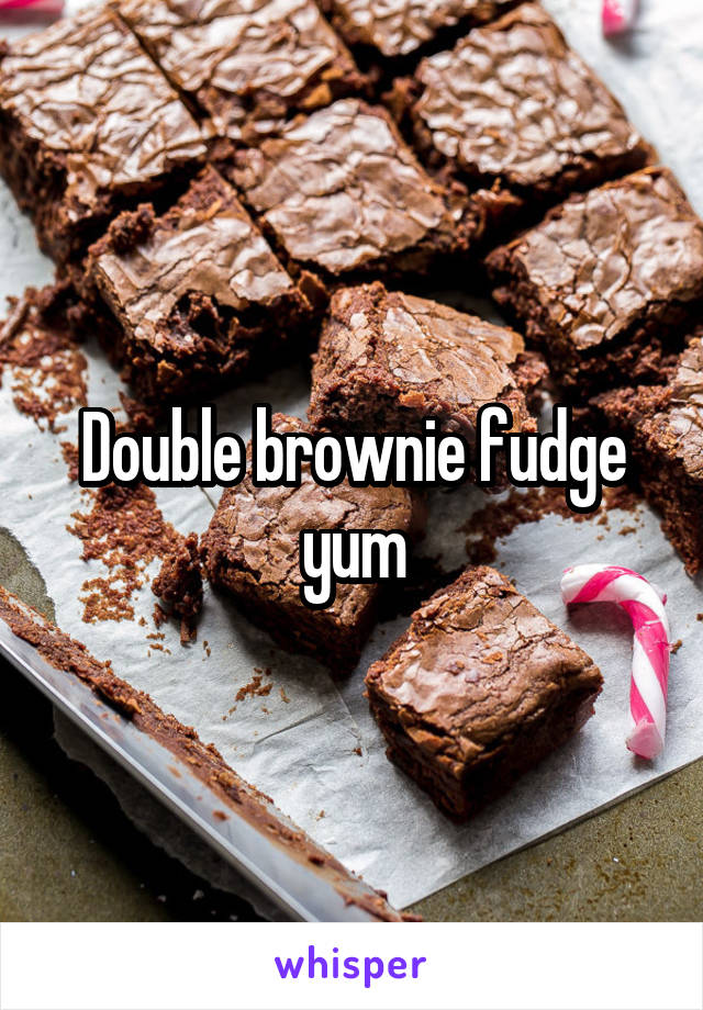 Double brownie fudge yum