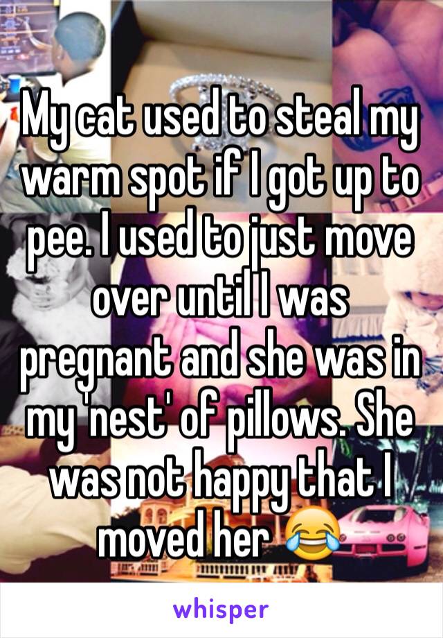 My cat used to steal my warm spot if I got up to pee. I used to just move over until I was pregnant and she was in my 'nest' of pillows. She was not happy that I moved her 😂
