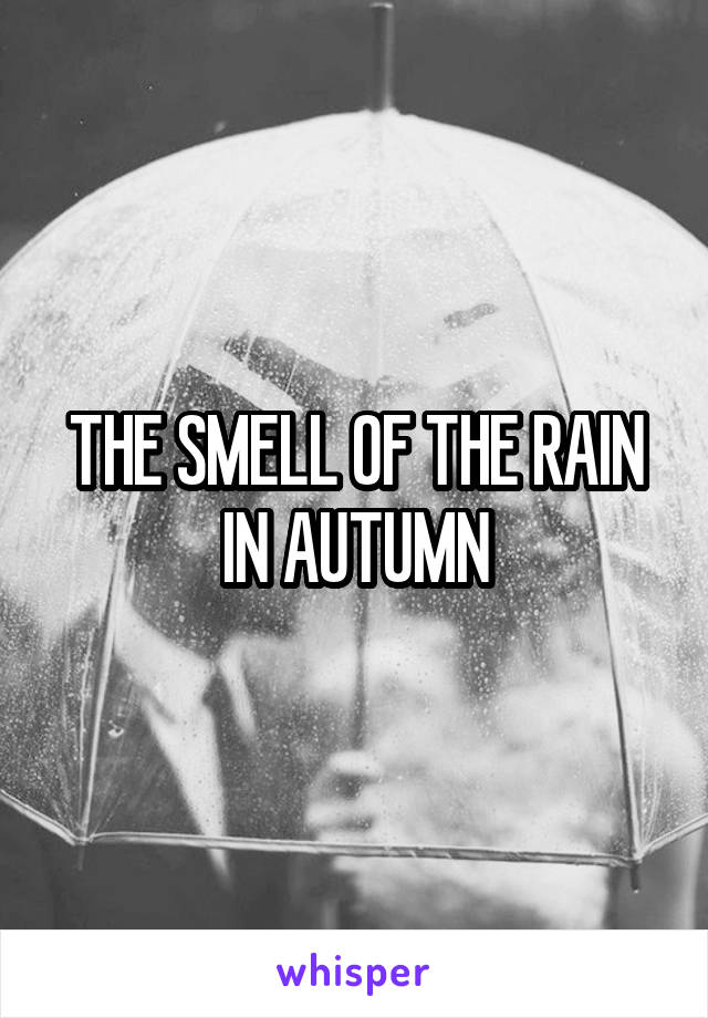 THE SMELL OF THE RAIN IN AUTUMN