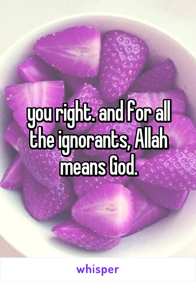 you right. and for all the ignorants, Allah means God.