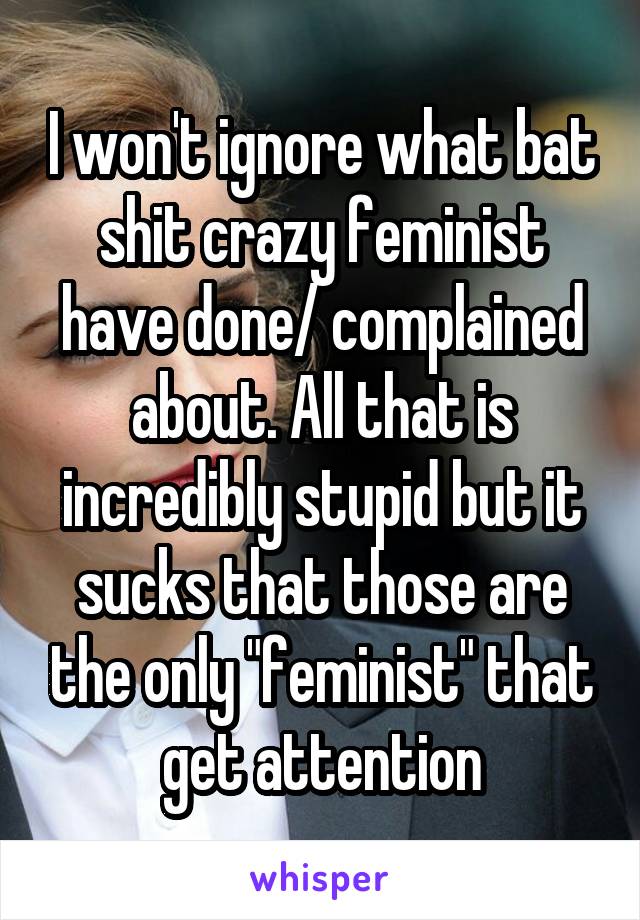 I won't ignore what bat shit crazy feminist have done/ complained about. All that is incredibly stupid but it sucks that those are the only "feminist" that get attention