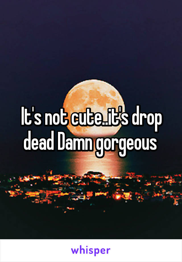 It's not cute..it's drop dead Damn gorgeous 