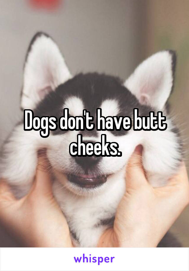 Dogs don't have butt cheeks.