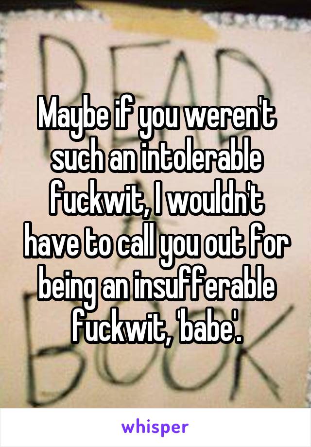 Maybe if you weren't such an intolerable fuckwit, I wouldn't have to call you out for being an insufferable fuckwit, 'babe'.