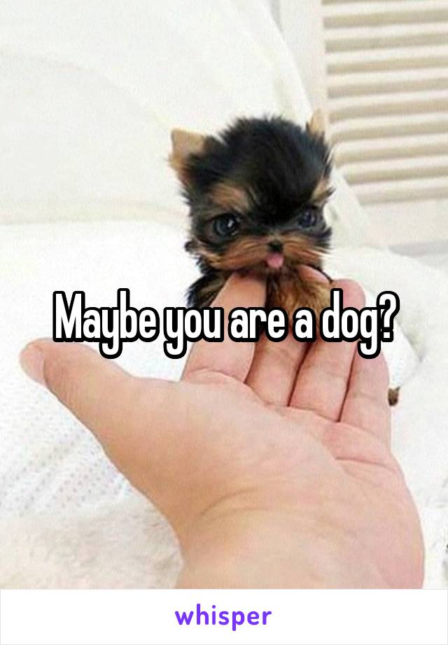 Maybe you are a dog?