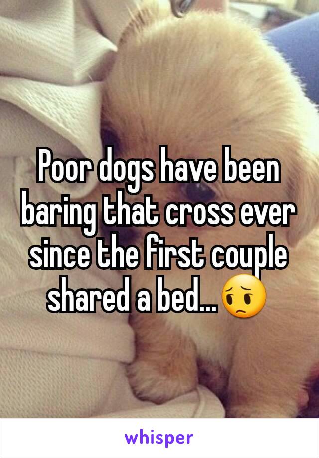 Poor dogs have been baring that cross ever since the first couple shared a bed...😔