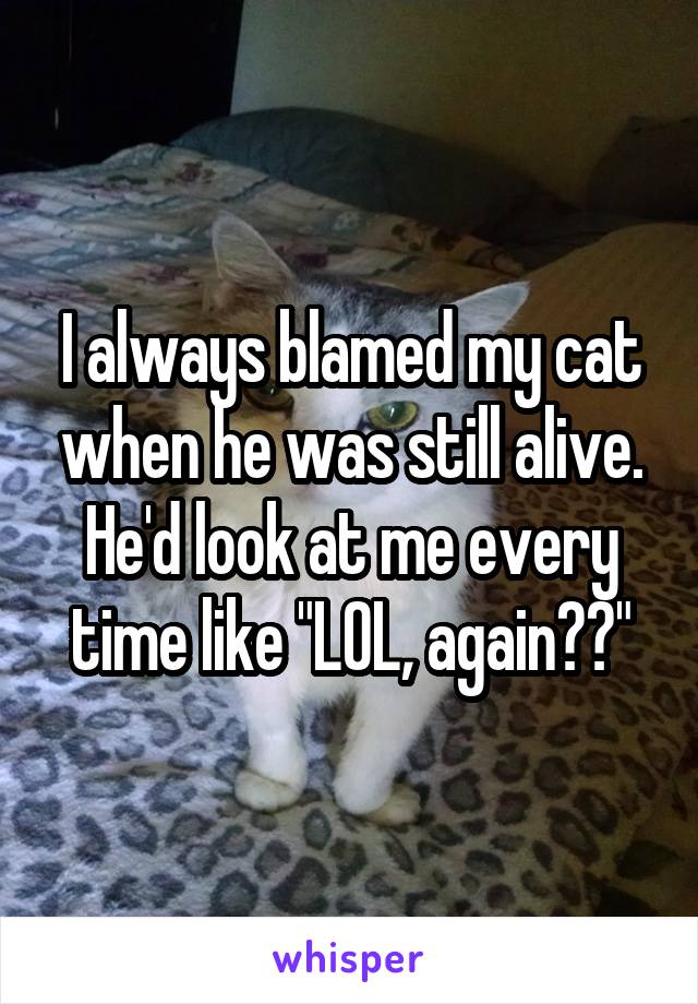 I always blamed my cat when he was still alive. He'd look at me every time like "LOL, again??"