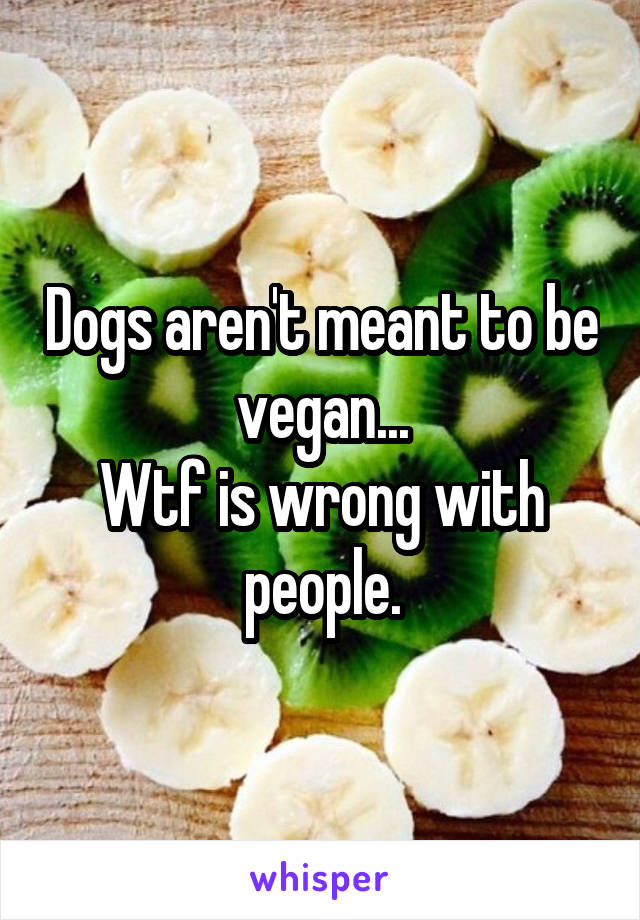 Dogs aren't meant to be vegan...
Wtf is wrong with people.