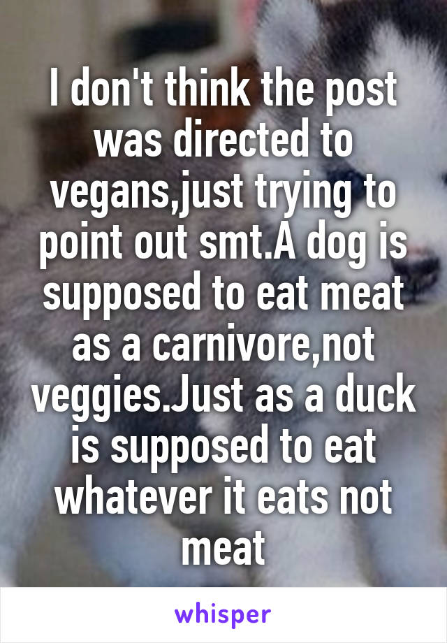 I don't think the post was directed to vegans,just trying to point out smt.A dog is supposed to eat meat as a carnivore,not veggies.Just as a duck is supposed to eat whatever it eats not meat