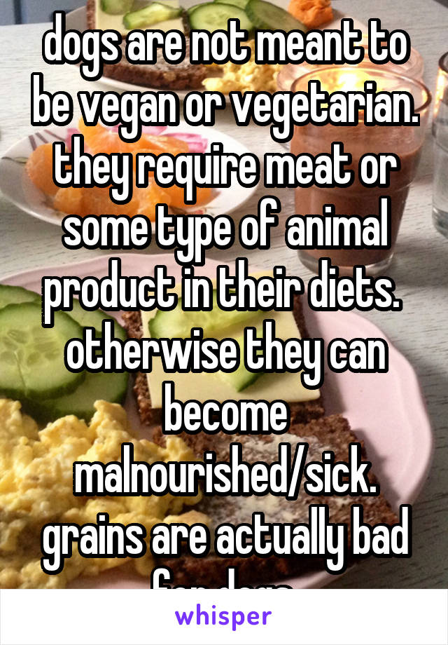 dogs are not meant to be vegan or vegetarian. they require meat or some type of animal product in their diets.  otherwise they can become malnourished/sick. grains are actually bad for dogs.