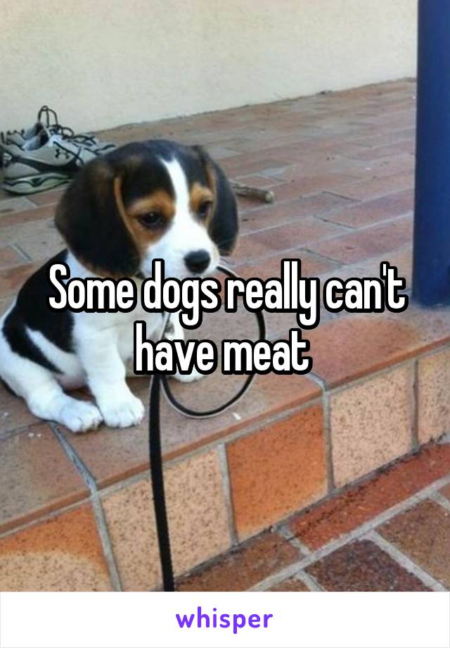 Some dogs really can't have meat 