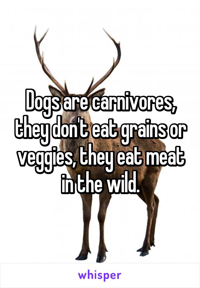 Dogs are carnivores, they don't eat grains or veggies, they eat meat in the wild.