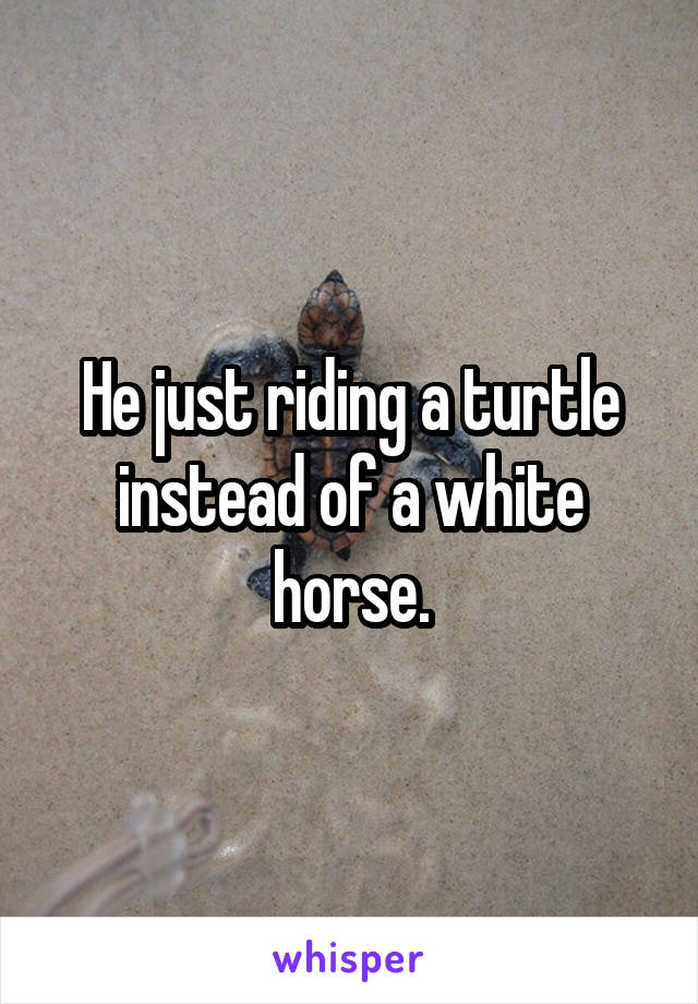 He just riding a turtle instead of a white horse.