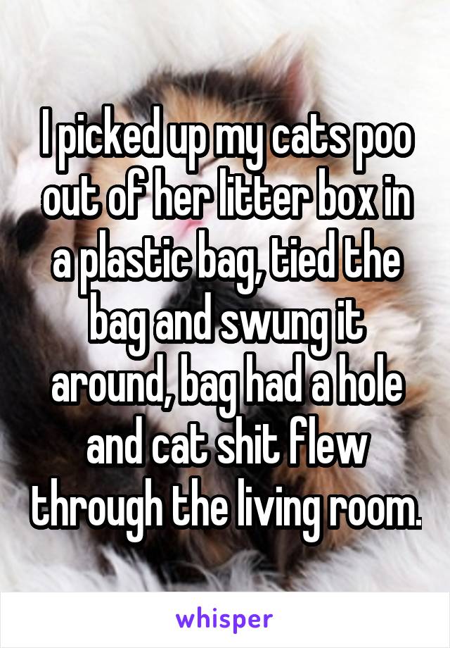I picked up my cats poo out of her litter box in a plastic bag, tied the bag and swung it around, bag had a hole and cat shit flew through the living room.