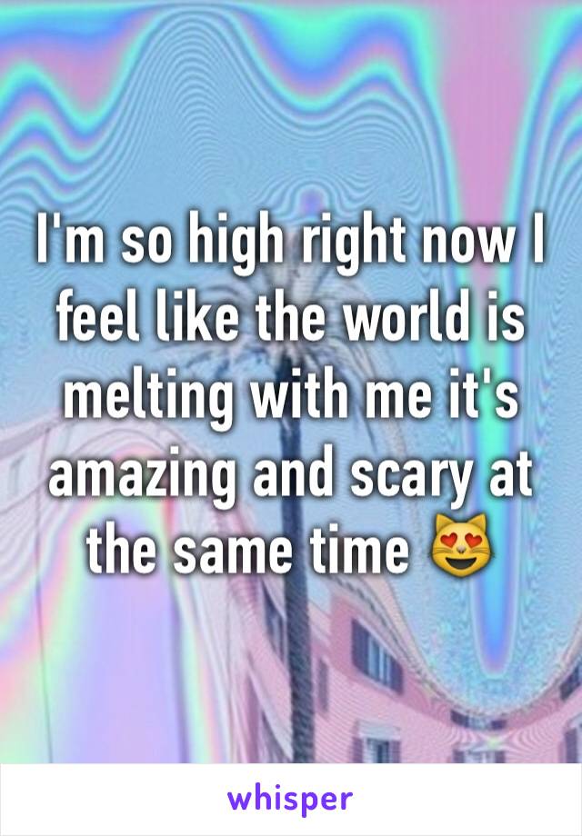 I'm so high right now I feel like the world is melting with me it's amazing and scary at the same time 😻
