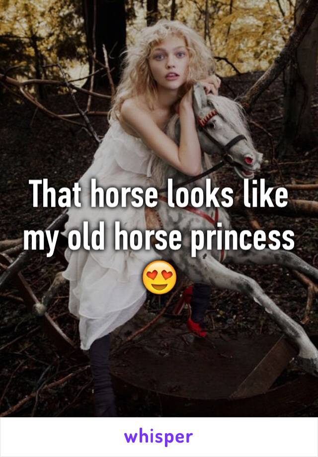 That horse looks like my old horse princess 😍